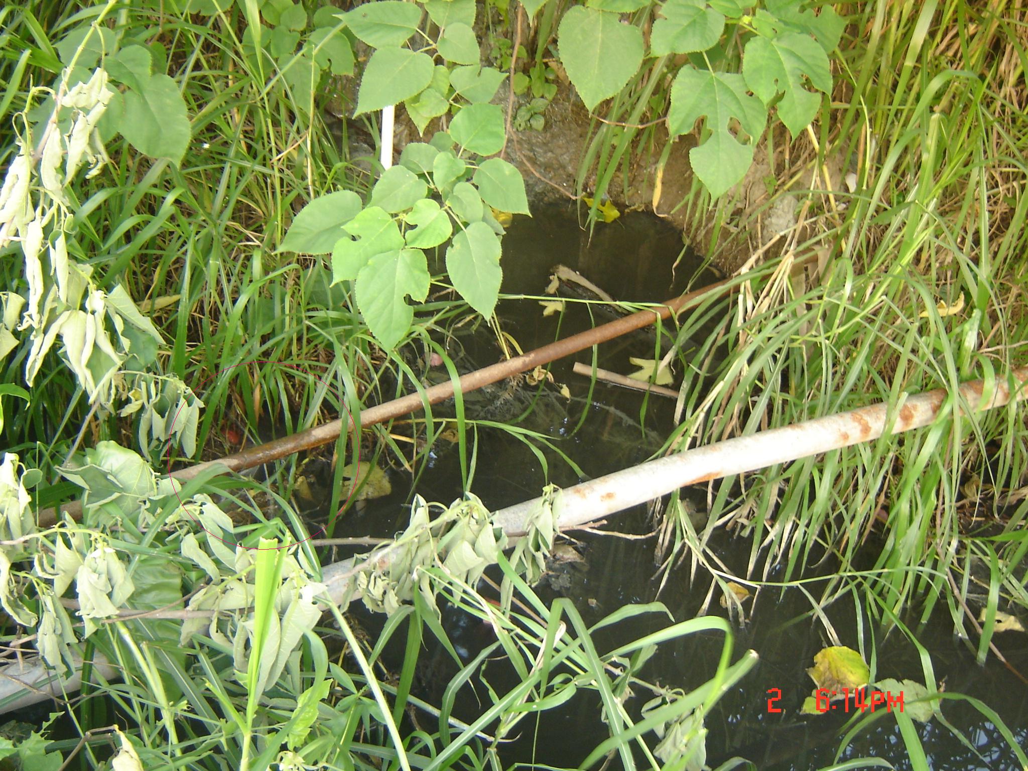 您好,欢迎进入佛山市顺德区人民政府论坛,本论坛旨在