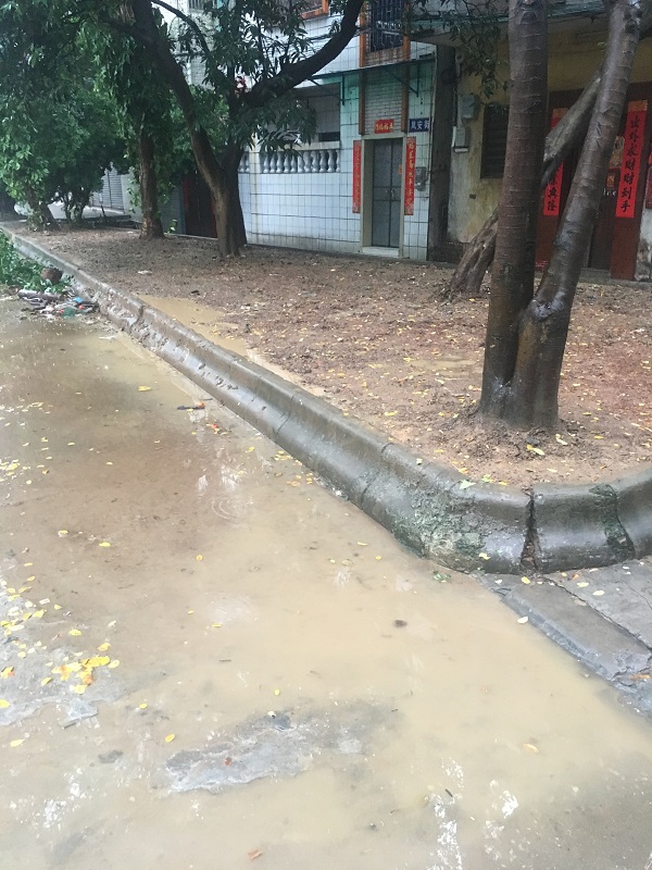 佛山市顺德区人民政府论坛